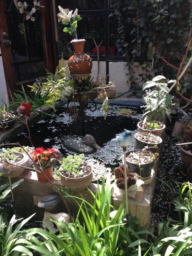 Tania'S Home Тбилиси Екстериор снимка