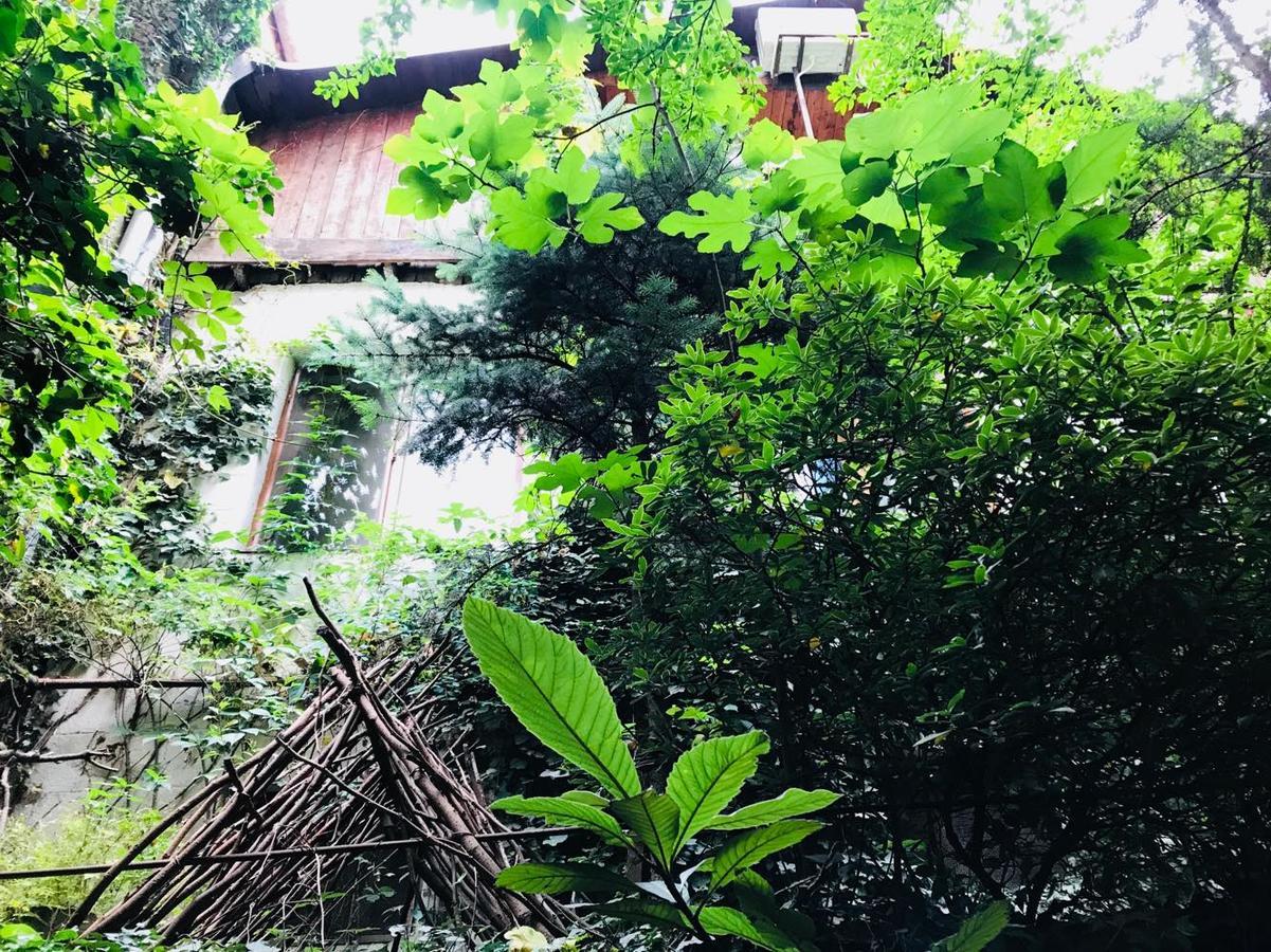 Tania'S Home Тбилиси Екстериор снимка